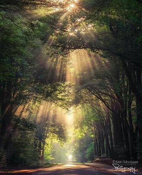 %E6%9C%AA%E5%91%BD%E5%90%8D