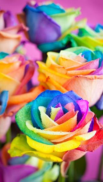 %E6%9C%AA%E5%91%BD%E5%90%8D