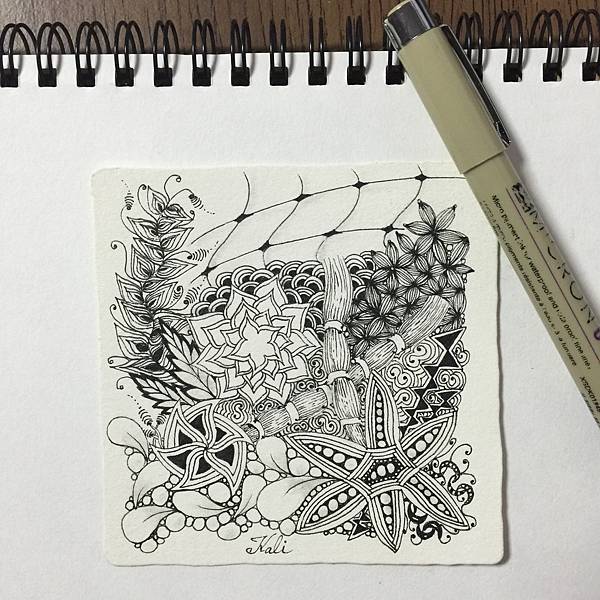 zentangle#24.jpg