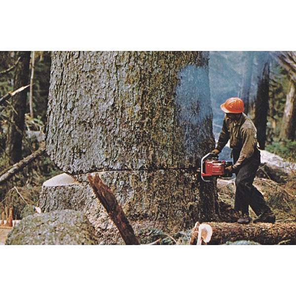 73a469b5ebc6cd66f1fb685bd2e3d515.jpg 73a469b5ebc6cd66f1fb685bd2e3d515.jpg