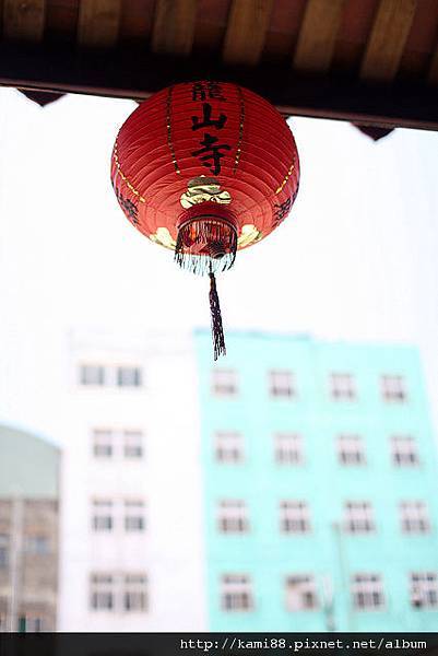 鹿港龍山寺 (5)