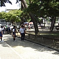 奈良公園-鹿與學生.JPG