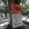 奈良角祭.JPG