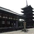 奈良-興福寺2.JPG