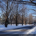 北海道大学