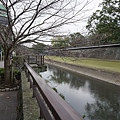 DSC00139-1.jpg