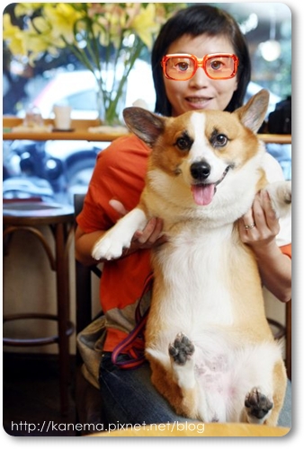 Corgis%20&%20Friends101212-029.jpg Corgis%20&%20Friends101212-029.jpg
