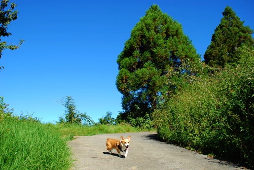 DSC_1713.JPG
