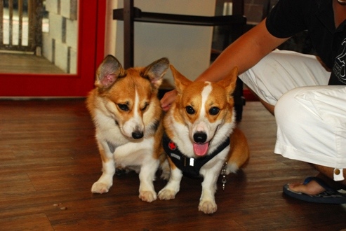 DSC_3982.JPG