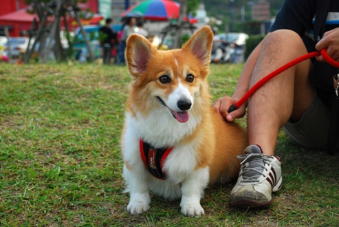 DSC_6488.JPG