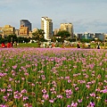DSC_8966.JPG