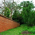 a08.JPG