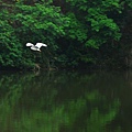 a27.JPG
