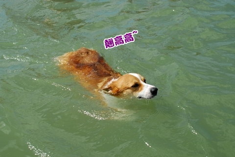 DSC_0834.JPG DSC_0834.JPG