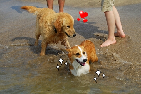 DSC_0836.JPG DSC_0836.JPG