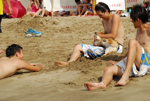 DSC_1010.JPG DSC_1010.JPG