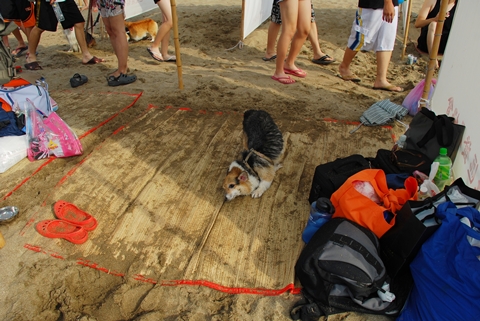 DSC_2689.JPG DSC_2689.JPG