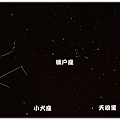 星_雙子.JPG