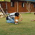 05.gif