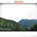 01.gif