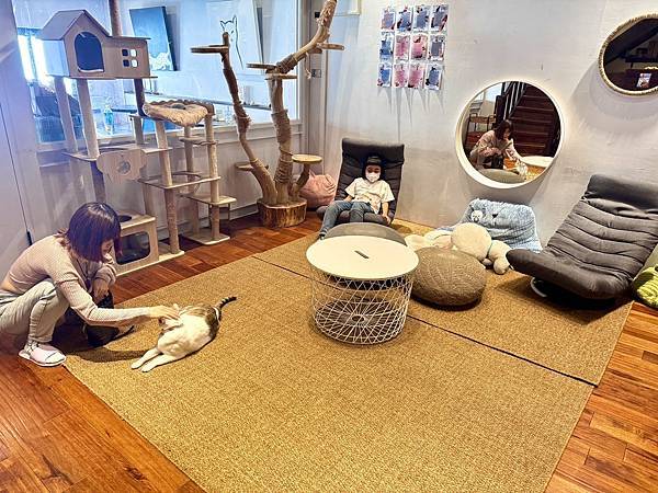 【新竹招財咖啡】巷弄裡的老宅擼貓咖啡廳、貓咪＋水豚＋咖哩套餐