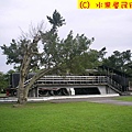 宜蘭運動公園火車.jpg