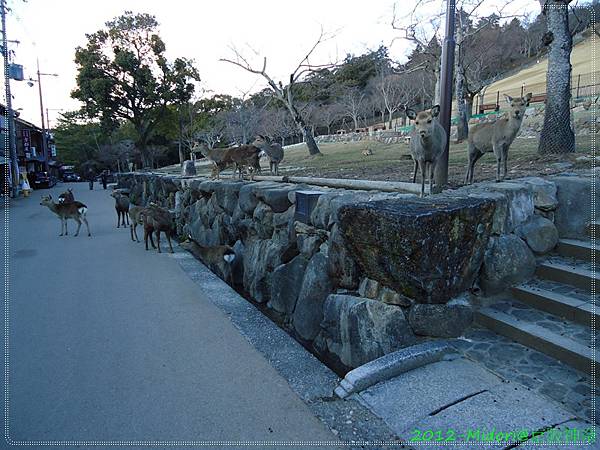 201212阪京神奈224.jpg