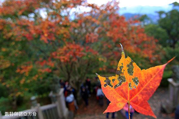 IMG_9439 拷貝 IMG_9439 拷貝