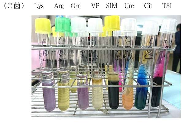 生化八管final Pptx By Akitty9499 On Emaze