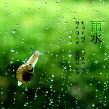 雨水