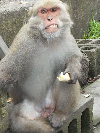 DSCF3461 DSCF3461