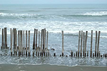 DSC_6169 DSC_6169