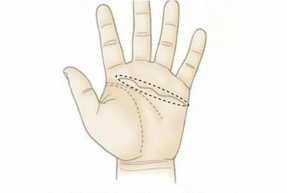 感情線看命運!愛情婚姻與人際關係! 感情線看命運!愛情婚姻與人際關係!-圖片1