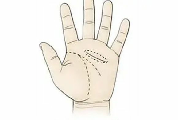 感情線看命運!愛情婚姻與人際關係! 感情線看命運!愛情婚姻與人際關係!-圖片3