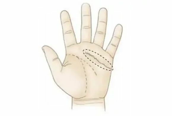 感情線看命運!愛情婚姻與人際關係! 感情線看命運!愛情婚姻與人際關係!-圖片5