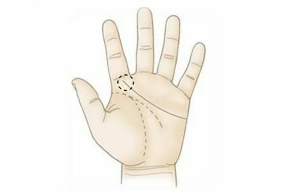 感情線看命運!愛情婚姻與人際關係! 感情線看命運!愛情婚姻與人際關係!-圖片7