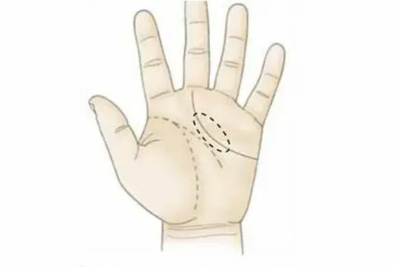 感情線看命運!愛情婚姻與人際關係! 感情線看命運!愛情婚姻與人際關係!-圖片8