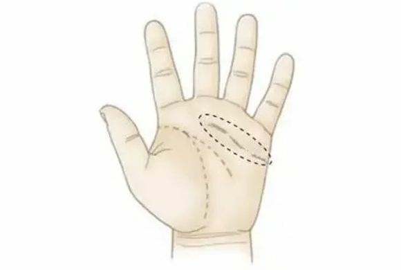 感情線看命運!愛情婚姻與人際關係! 感情線看命運!愛情婚姻與人際關係!-圖片9