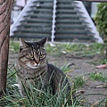 nEO_IMG_IMG_2850