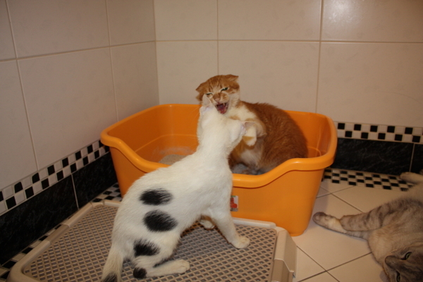 2008_08_24 014.jpg