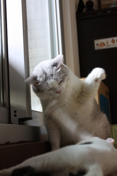 2008_08_31 052.jpg