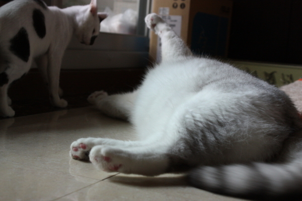 2008_08_31 064.jpg