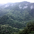 IMG_7521.JPG