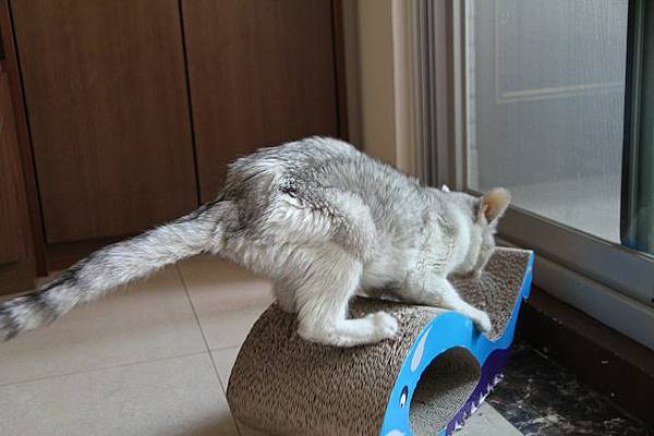 IMG_3487_nEO_IMG.jpg