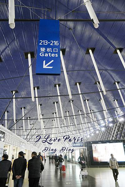 _SAM0602.JPG _SAM0602.JPG