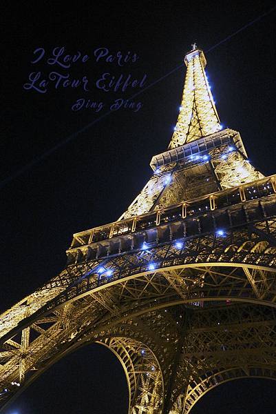 _SAM1781.JPG _SAM1781.JPG