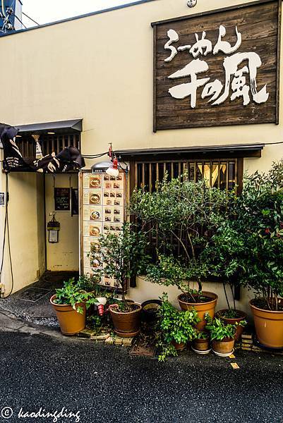 SAM_7844.jpg SAM_7844.jpg