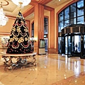 DSCN7310.JPG