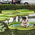 白河_190818_0042.jpg