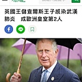 英文查爾斯王子.jpg